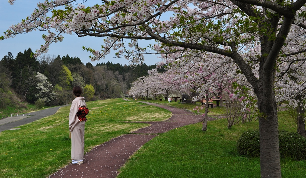 桜づつみ公園